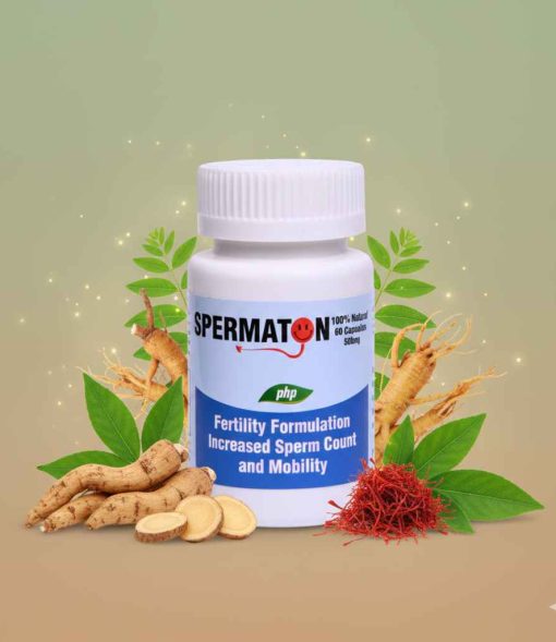 Gemini_Generated_Image_n3dzhn3dzhn3dzhn (1)_11zon